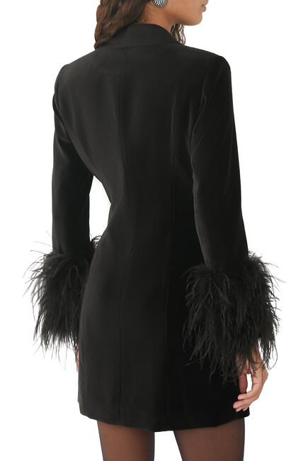 Latoya Feather Cuff Mini Dress